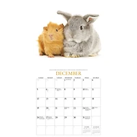 Bunnies and Friends 2027 Wall Calendar