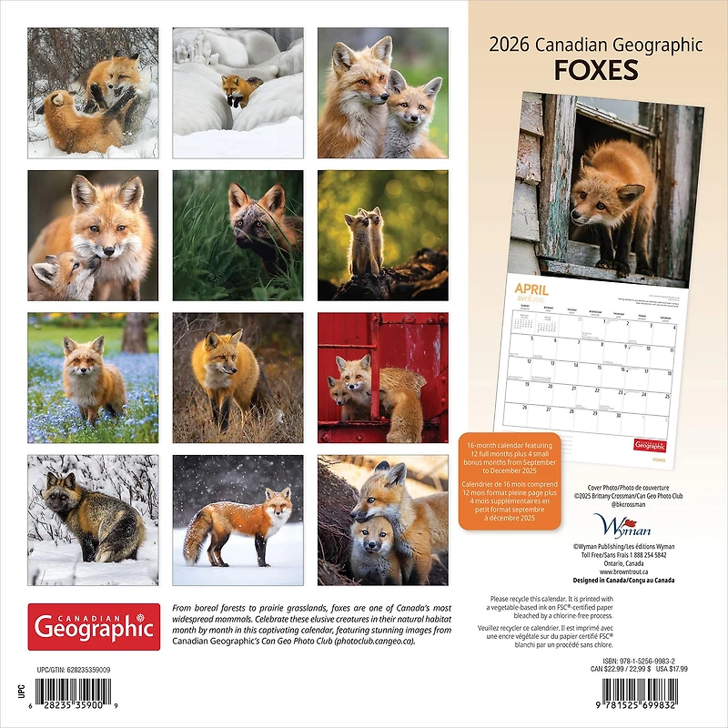 Canadian Geographic Foxes 2026 Wall Calendar - Online Only