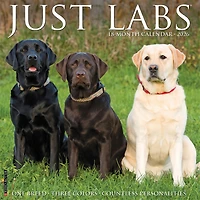 Just Labs 2026 Wall Calendar