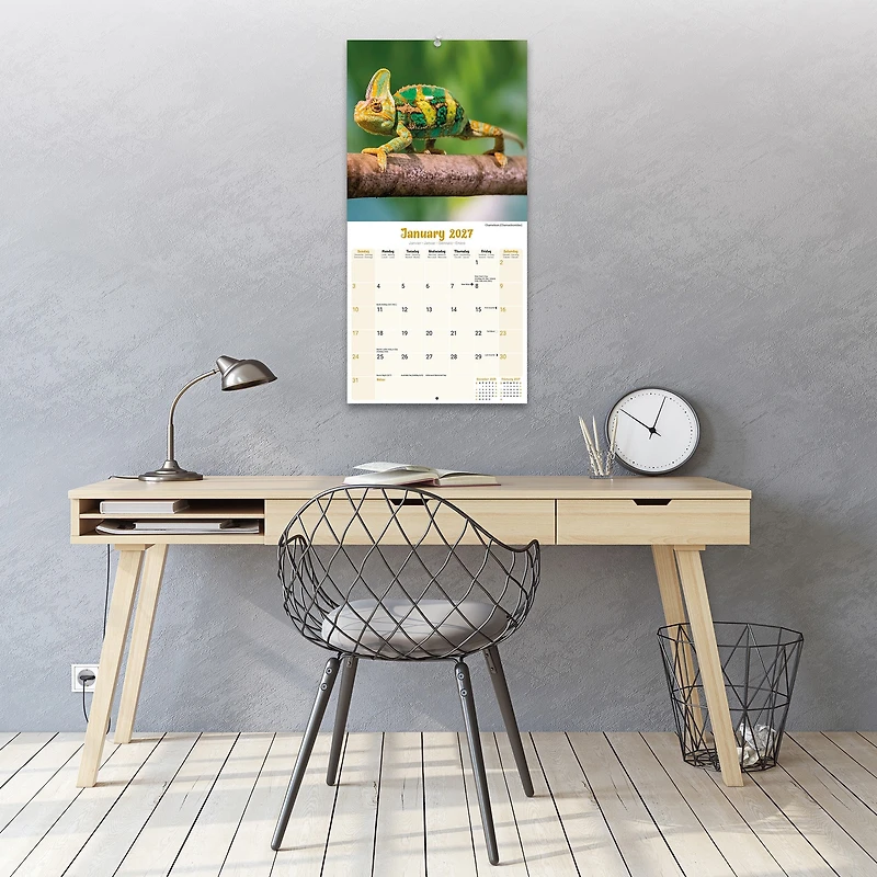 Lizards 2027 Wall Calendar