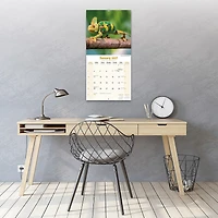 Lizards 2027 Wall Calendar