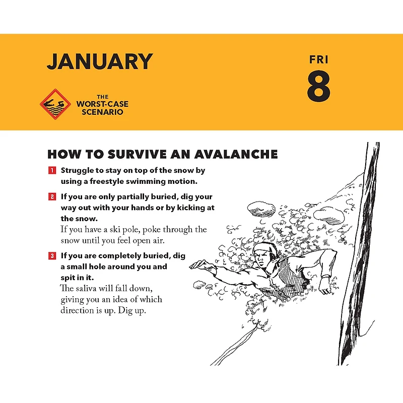 Worst Case Scenario Survival 2027 Box Calendar