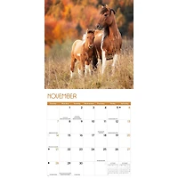 Horses 2027 Wall Calendar