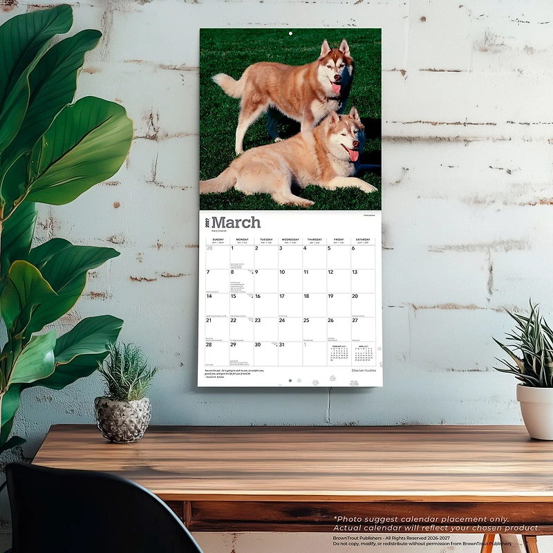 Siberian Huskies 2027 Wall Calendar