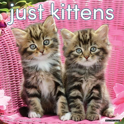 Just Kittens 2026 Wall Calendar