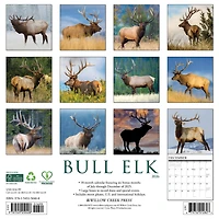 Bull Elk 2026 Wall Calendar