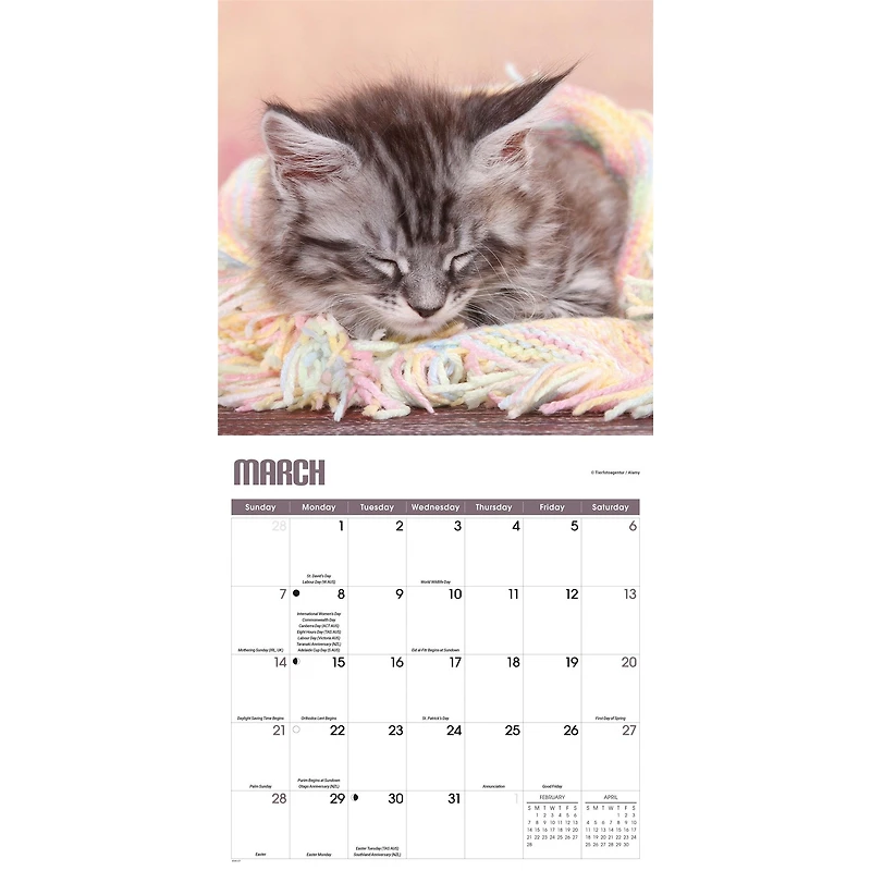 Kitty Naps 2027 Wall Calendar