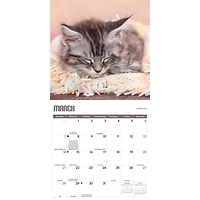 Kitty Naps 2027 Wall Calendar