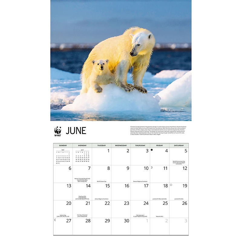 World Wildlife Fund Polar Bears 2027 Wall Calendar