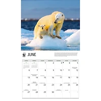 World Wildlife Fund Polar Bears 2027 Wall Calendar