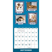 Dogs Are Cheaper Than Therapy 2027 Wall Calendar
