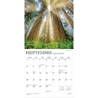 Inspiration 2026 Wall Calendar (French)