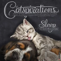 Catspirations 2027 Wall Calendar