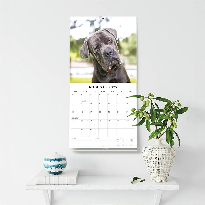 Mastiffs 2027 Wall Calendar