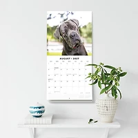 Mastiffs 2027 Wall Calendar