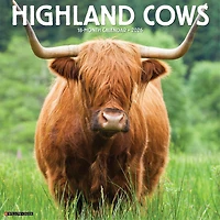 Highland Cows 2026 Wall Calendar - Online Only