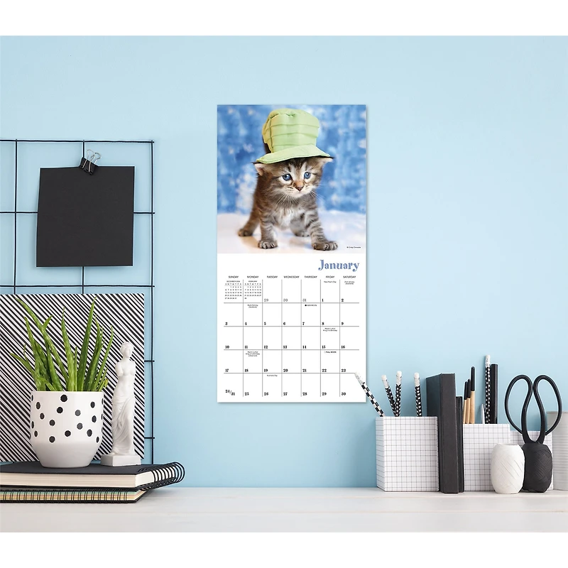 Cats in Hats 2027 Mini Calendar