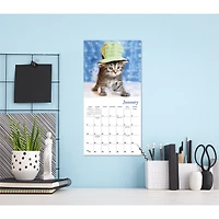 Cats in Hats 2027 Mini Calendar