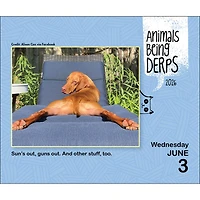 Animals Being Derps 2026 Box Calendar