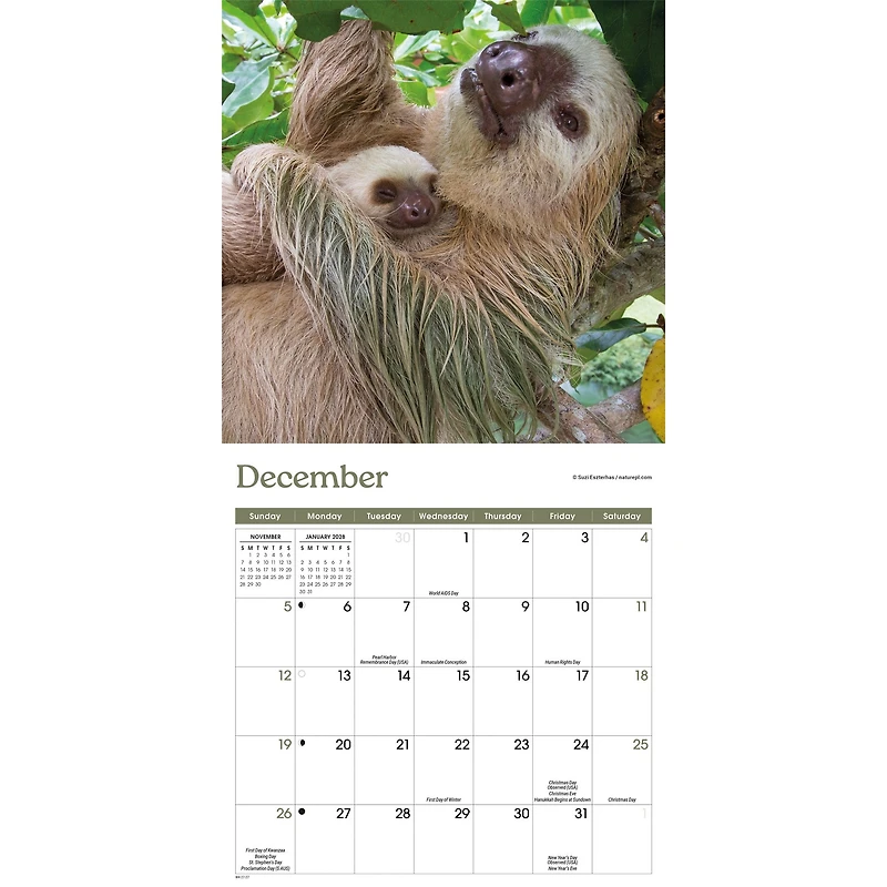 Sloths 2027 Mini Calendar