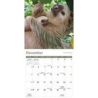 Sloths 2027 Mini Calendar