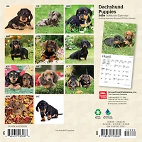 Dachshund Puppies 2026 Mini Calendar