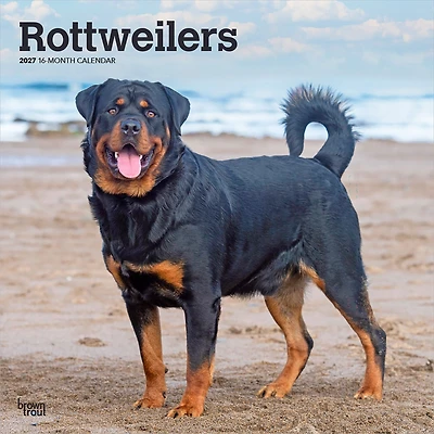 Rottweilers 2027 Wall Calendar