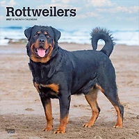 Rottweilers 2027 Wall Calendar
