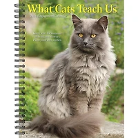What Cats Teach Us 2026 Engagement Calendar