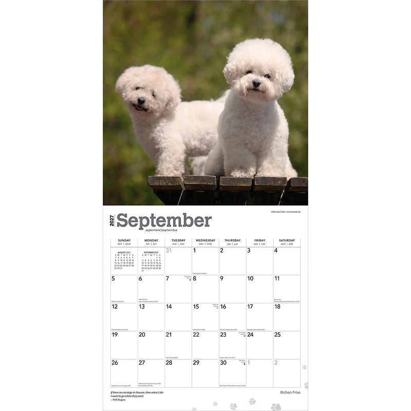 Bichon Frise 2027 Wall Calendar - Online Only