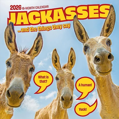 Jackasses 2026 Wall Calendar