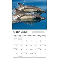 World Wildlife Fund Dolphins 2027 Wall Calendar