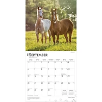 Quarter Horses 2026 Wall Calendar - Online Only