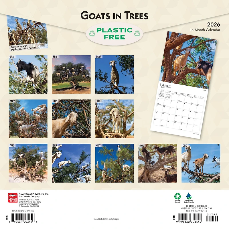 Goats In Trees 2026 Wall Calendar