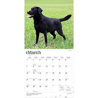 Black Labs 2027 Wall Calendar