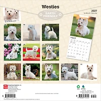 West Highland White Terriers 2027 Wall Calendar