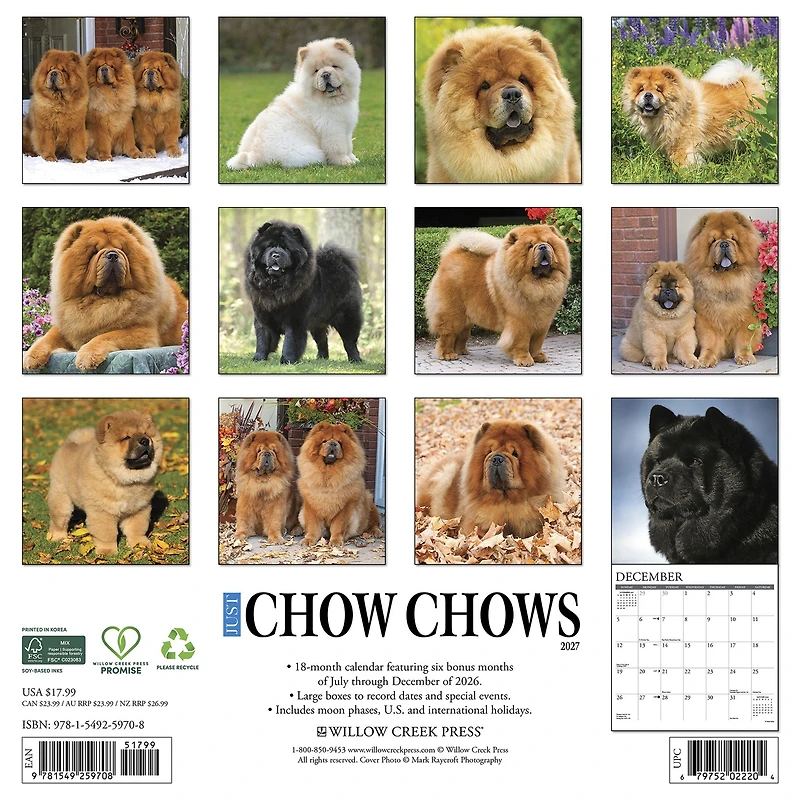 Chow Chows 2027 Wall Calendar