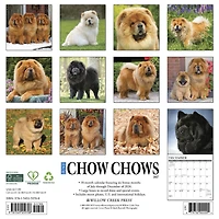 Chow Chows 2027 Wall Calendar