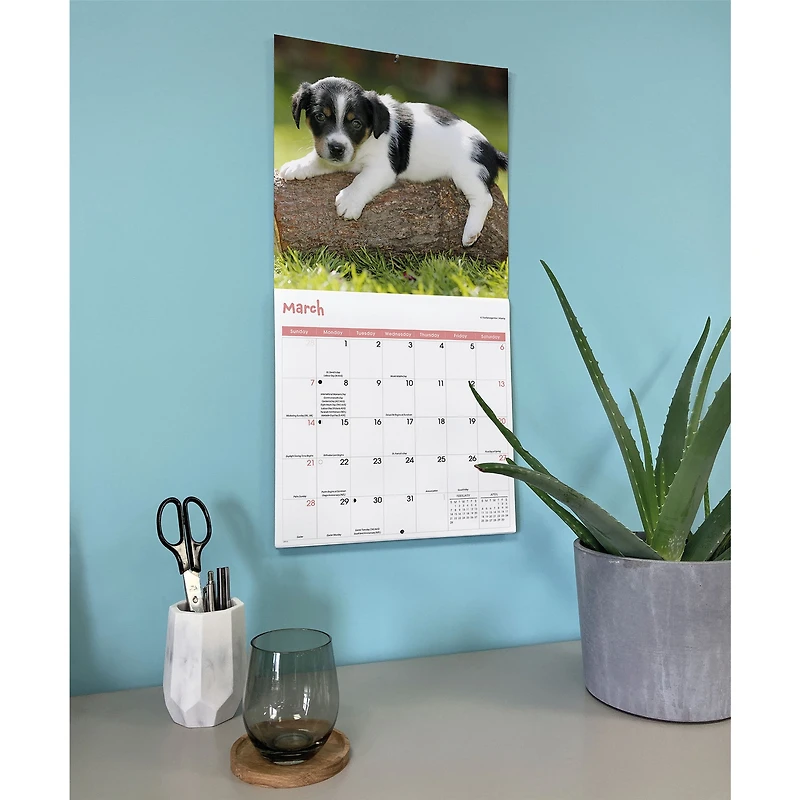 Playful Puppies 2027 Wall Calendar