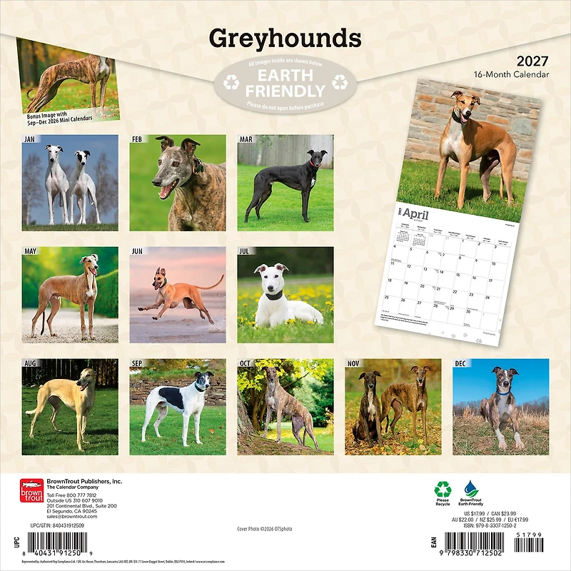 Greyhounds 2027 Wall Calendar