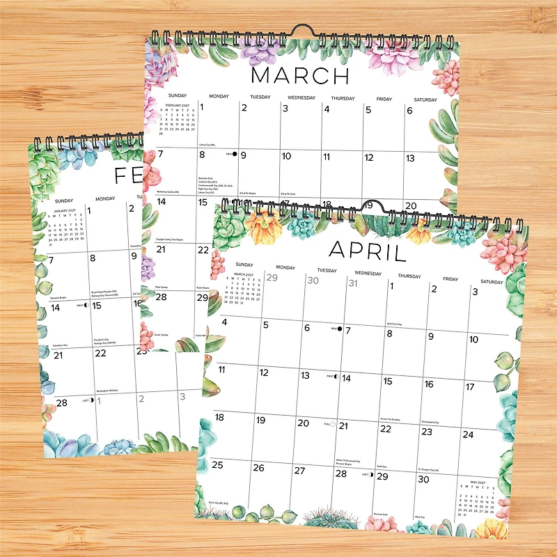 Succulents 2027 Spiral Wall Calendar