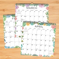 Succulents 2027 Spiral Wall Calendar