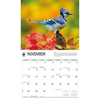 World Wildlife Fund Backyard Birds 2027 Wall Calendar