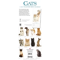 Cats 2027 Poster Calendar