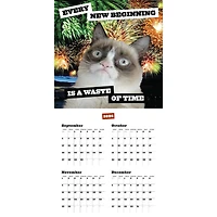 Grumpy Cat 2027 Wall Calendar