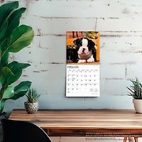 Boston Terrier Puppies 2026 Mini Calendar