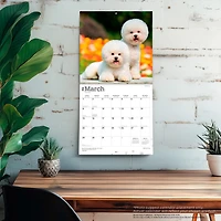 Bichon Frise 2026 Wall Calendar - Online Only