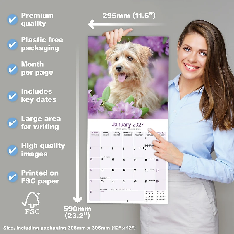 Norwich/Norfolk Terrier 2027 Wall Calendar - Online Only