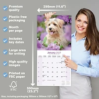 Norwich/Norfolk Terrier 2027 Wall Calendar - Online Only