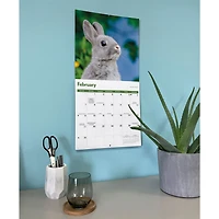Rabbits 2027 Wall Calendar